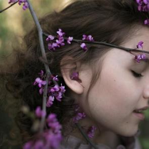 ����: �����