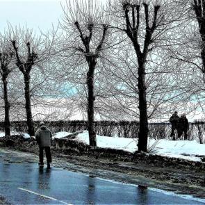 ����: ����� � ������������.