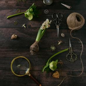 ����: �����