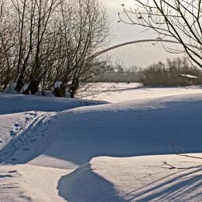 ����: ������ ����.