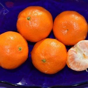 ����: ���������