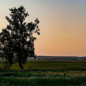 ����: ������� ������� ������.