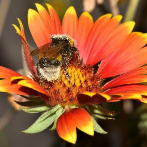 ����: ����� ������