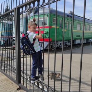 Фото: По дороге в школу