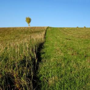 ����: �����.