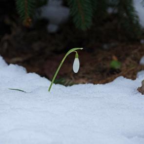 ����: �������� ����������