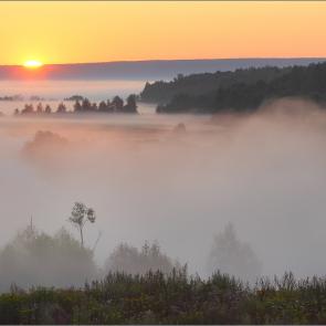 ����: ������ �����