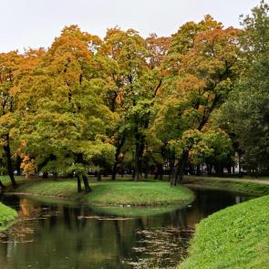 ����: ������� � �����������