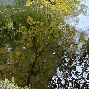 ����: ����� ������