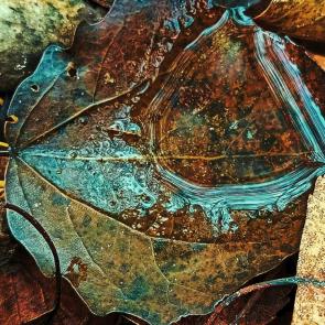 Фото: 