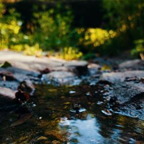 ����: ���� � ���������, �� ��� �� ����