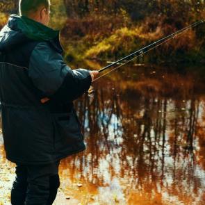 ����: ������� �������