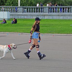 ����: ����� ������