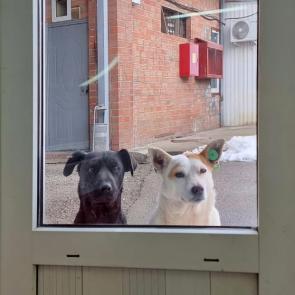 : 