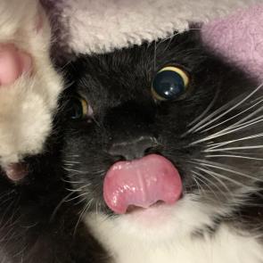 : 