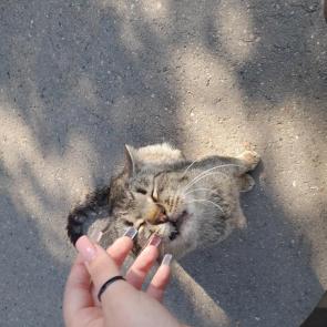 :   