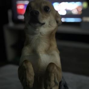 : 