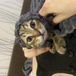 :   &amp;#65533;
