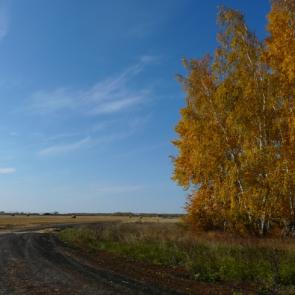 Фото: Осенняя дорога