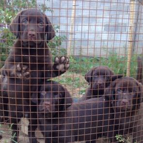 ����: � ��������� ������