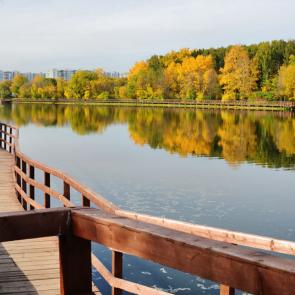 ����: ������� �����