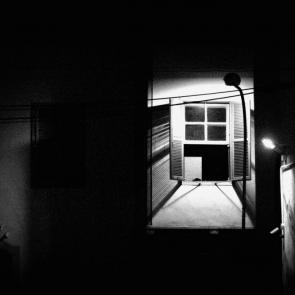 Фото: 