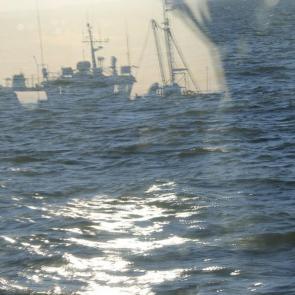 ����: �����