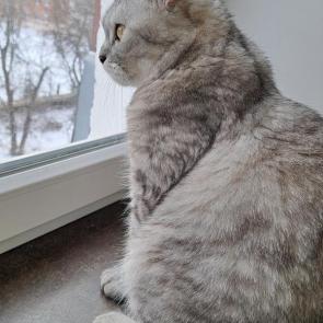 : 
