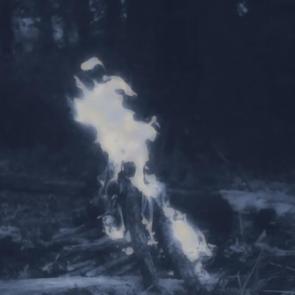 :   21