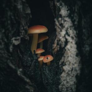 :   