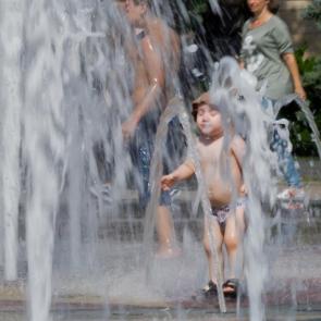 ����: ���������