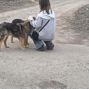 ����: ���������� - ������� 