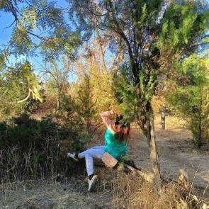 ����: ������� - ���� 