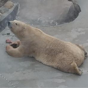 : 