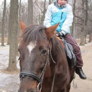 ����: ��������