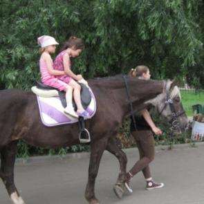 ����: ���� �� ����