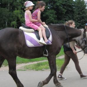 ����: ���� �� ����