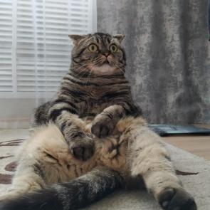 :  