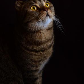 : 