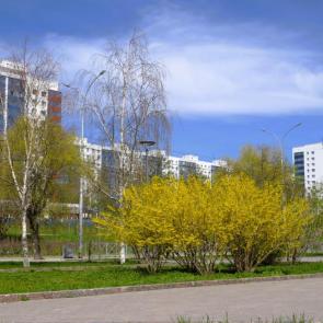 Фото: Пермь