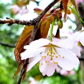 ����: �������� ������ 