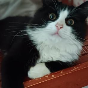 :  ?!! 