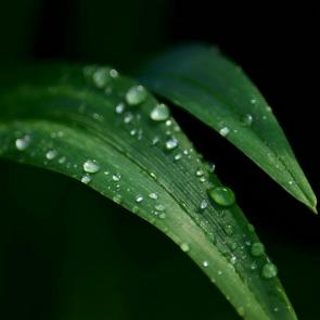 Фото: 