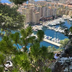 :  Montecarlo 