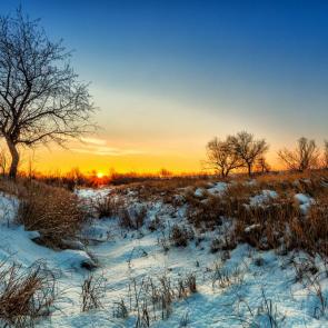Фото: 