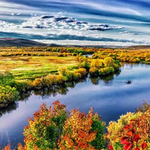 Фото: 