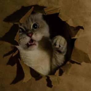  :  ?