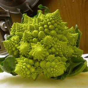 : Romanescu