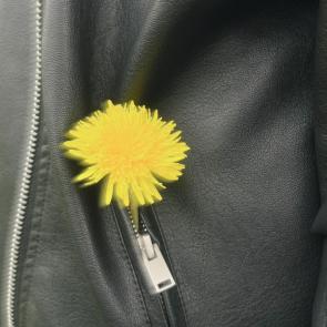 :   