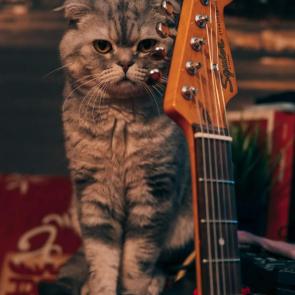 : 